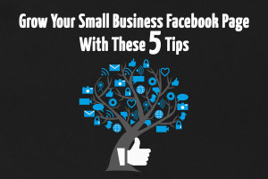 Grow Your Small Business Facebook Page With These 5 Tips
